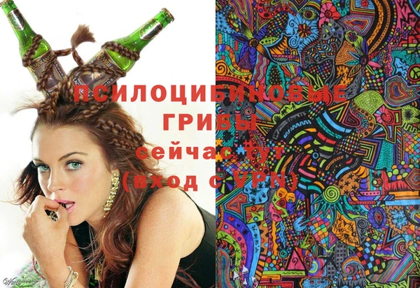 твердый Уссурийск