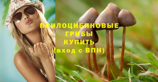 ГАЛЛЮЦИНОГЕННЫЕ ГРИБЫ Красноперекопск