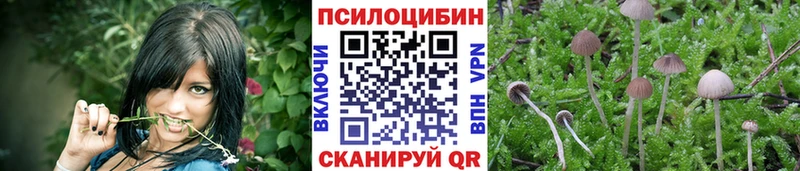 цены наркотик  Лениногорск  Галлюциногенные грибы GOLDEN TEACHER 